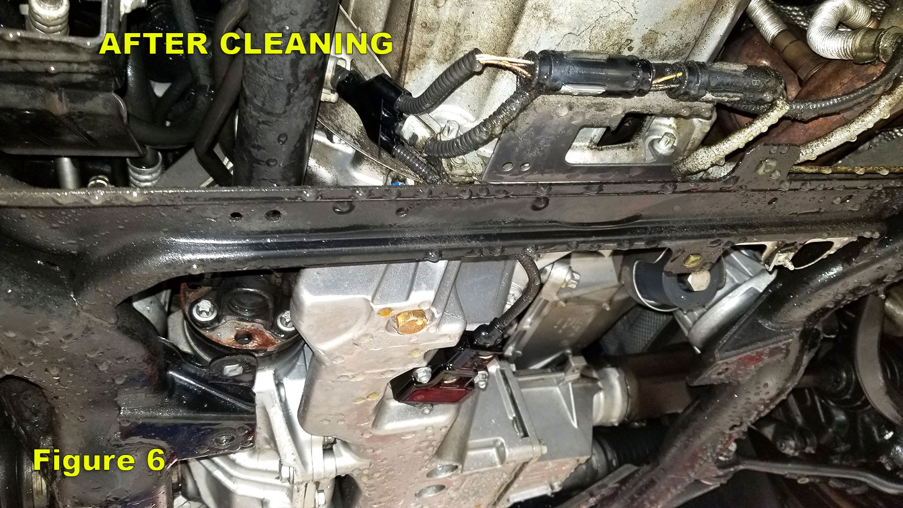 E90 BMW 328xi Oil Pan Gasket Leak Repair German Formula Auto Repair