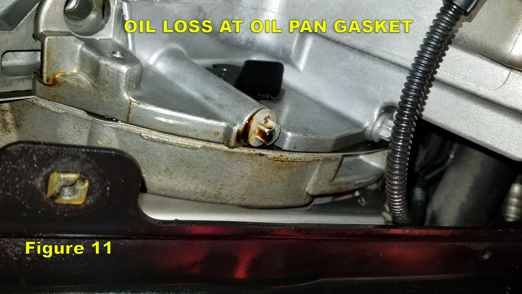 E90 BMW 328xi Oil Pan Gasket Leak Repair German Formula Auto Repair